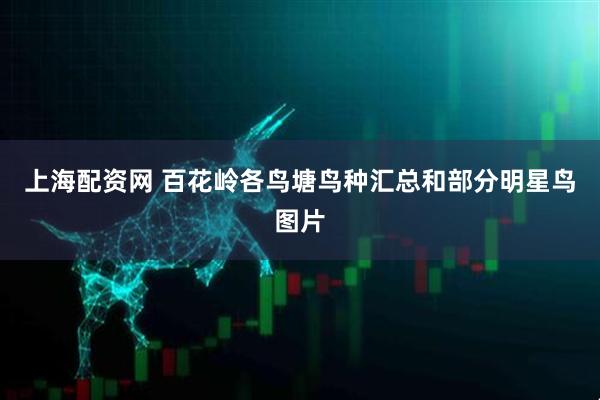 上海配资网 百花岭各鸟塘鸟种汇总和部分明星鸟图片